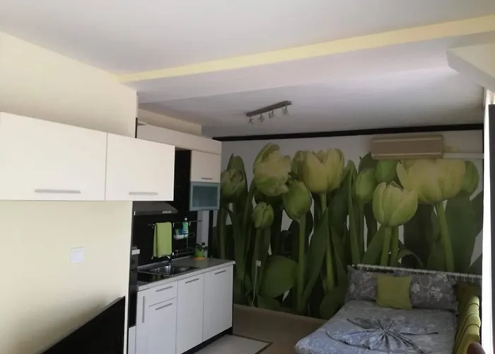 къща симона