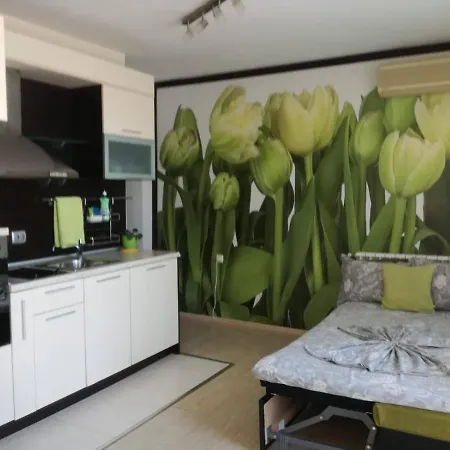 къща симона