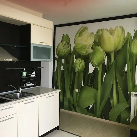 Casa de hóspedes къща симона 3*