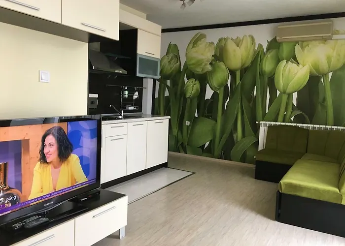 Guest house къща симона 3*