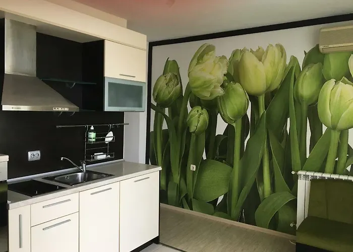 Guest house къща симона 3*